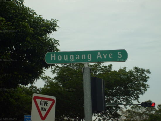 Hougang Avenue 5 #105442